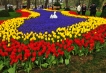    - PLD Travel